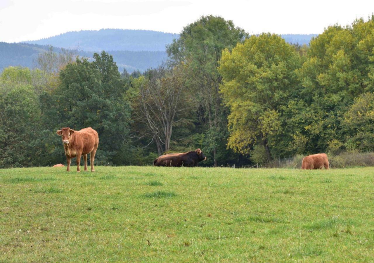 Ferienhaus Vulkaneifel Kopp エクステリア 写真