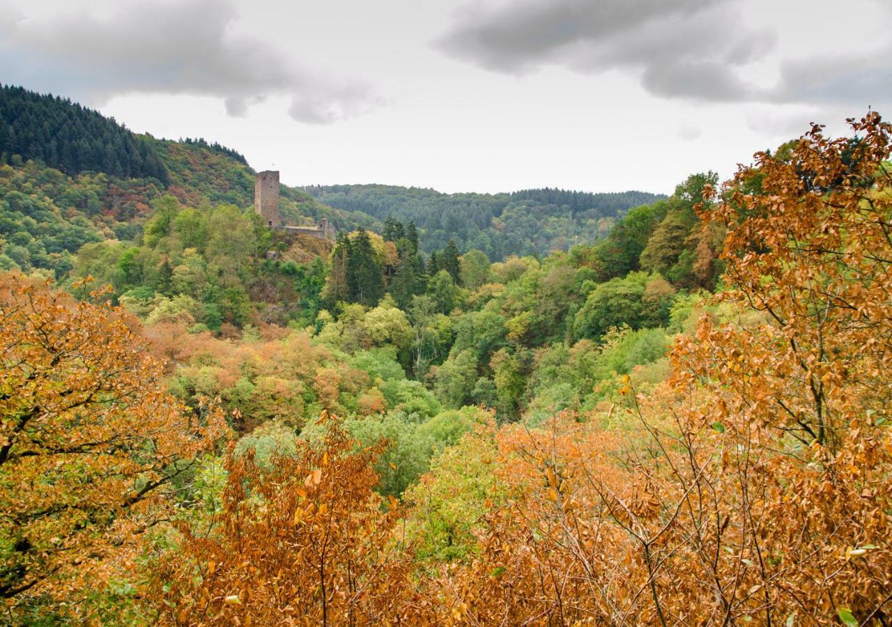 Ferienhaus Vulkaneifel Kopp エクステリア 写真